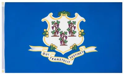 Produktbild von Einheitsgröße MW-189|Connecticut MUWO "America Edition" Flagge 90x150cm