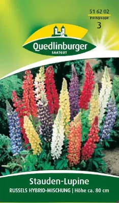 Produktbild von Stauden-Lupine, Russels Hybrid-Mischung