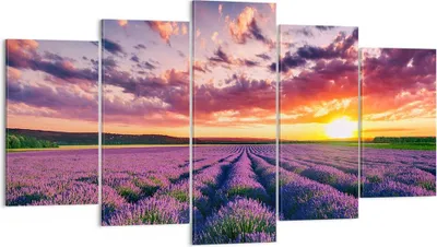 Produktbild von Bild auf Leinwand - Leinwandbild - Lavendel Berge Feld - 160x85cm - Wand Bild - Wanddeko - Leinwanddruck - Bilder - Kunstdruck - Wanddekoration - Leinwand bilder - Wandkunst - EA160x85-3816