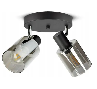 Produktbild von FKL DESIGN Home Deco Deckenlampe Deckenleuchte Schwarz 2-flammig E27 Glas Lampenshirm Lampe aus Serie N535 (DRP2)