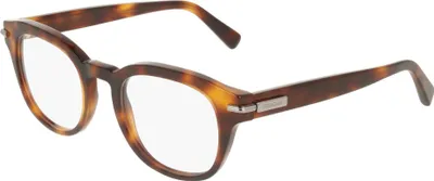 Produktbild von Ferragamo SF3033 Tortoise 50/21/145 Herren Brillen