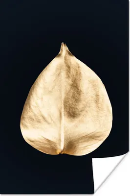 Produktbild von MuchoWow® Poster Blätter - Schwarz und Gold - Schwarz - Gold - Luxus 20x30 cm - Papierdruck