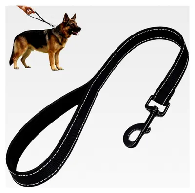 Produktbild von Hundekurzführer 35 cm – Gepolsterte Leine für mittelgroße und große Hunde, weicher Griff und sichere Kontrolle