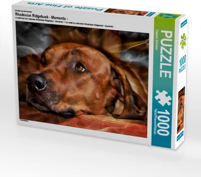 Produktbild von CALVENDO Puzzle Ein Motiv aus dem Kalender Rhodesian Ridgeback - Moments - | 1000 Teile Lege-Größe 64x48cm Foto-Puzzle für glückliche Stunden