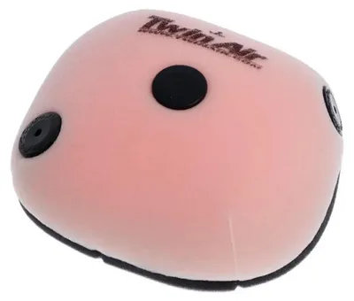 Image de TWIN AIR Luftfilter