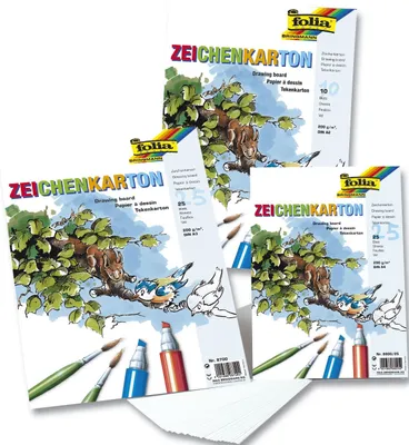 Immagine prodotto di Folia 8700 Cartoncino da disegno 200 g/m², DIN A3, 25 fogli