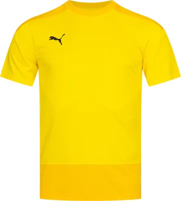 Produktbild von S|PUMA teamGOAL Herren Trikot 656482-07