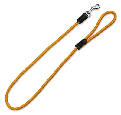 Produktbild von Arquivet 8435117885424 Haltegriff, Nylon, reflektierend, 1,2 x 120 cm, Orange