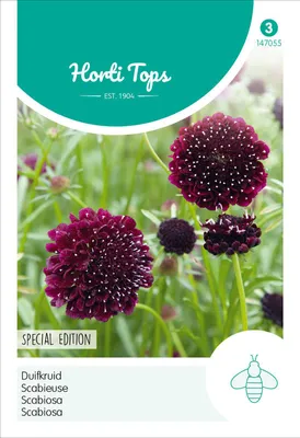Zdjęcie produktu dla Scabiosa Black Purple | Nasiona kwiatów od Hortitops