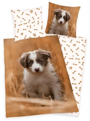 Produktbild von Bettwäsche Set mit Hund Welpe135 x 200 cm 80 x 80 cm 100% Baumwolle