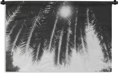 Produktbild von MuchoWow® Wandteppich Wandbehang Palmenblätter - Tropisch - Sonne - Palme 150x100 cm Tapisserie Dekoration Wandtuch - Waschbar - Tapisserien - Wand-Decke