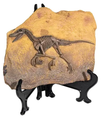 Dinosaurusskelett aus Harz, Vintage-Stil, 19x17 cm, Deko-Objekt