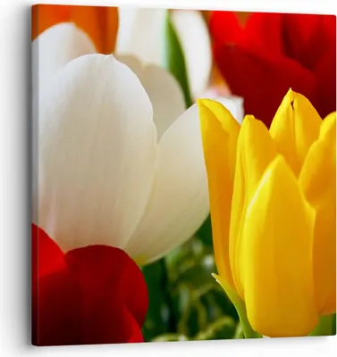 Produktbild von Bild auf Leinwand - Leinwandbild - Tulpen Vase Blumenstrauß - 30x30cm - Wand Bild - Wanddeko - Leinwanddruck - Bilder - Kunstdruck - Wanddekoration - Leinwand bilder - Wandkunst - AC30x30-1366