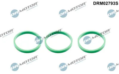 Produktbild von DR.MOTOR AUTOMOTIVE DRM02793S Dichtungssatz Ansaugkrümmer für AUDI A4 Avant (8K5, B8) A6 Avant (4G5, 4GD, C7) A6 Avant (4F5, C6) A4 Avant (8ED, B7) Q5