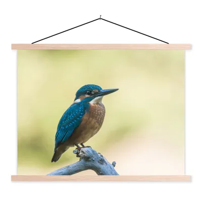 Produktbild von MuchoWow® Textilposter Eisvogel - Zweig - Vogel 120x90 cm mit holzfarbenen Rahmen - Magnetisch