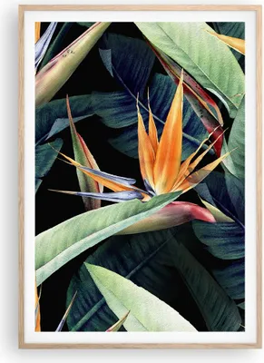Produktbild von Gerahmtes Poster - Rahmen in heller Eiche - Pflanze Tropisch Blume - 70x100 cm - Wand Bild - Wanddeko - Wandbilder - Kunstposter - Wandposter - Bilderrahmen - Bilder - Kunstdruck - P2NPA70x100-5093