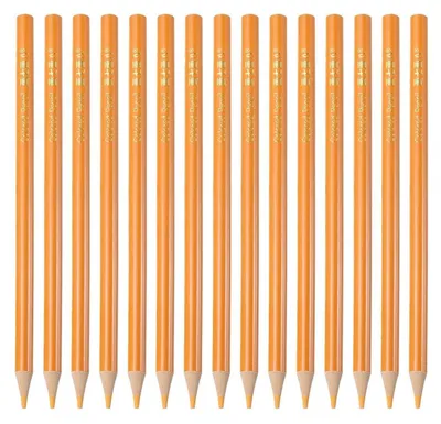Produktbild von Buntstift Set 15 Stück Holz Ölbasierte Farbstifte Amber Zeichenbedarf für Künstler Erwachsene