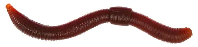 Produktbild von Spro Dendrobaena Motor Oil Gummi Wurm