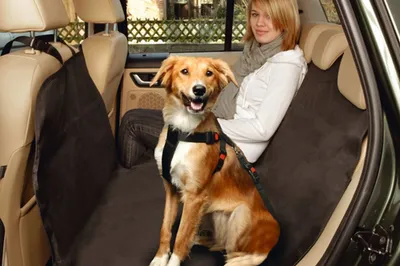 Produktbild von Karlie Autoschutzdecke Car Lounge Easy - Autozubehör - Nylon - Schwarz - 162x132 cm