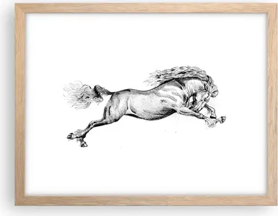 Produktbild von Gerahmtes Poster - Rahmen in heller Eiche - Pferd Zeichnung Bleistift - 40x30 cm - Wand Bild - Wanddeko - Wandbilder - Kunstposter - Wandposter - Bilderrahmen - Bilder - Kunstdruck - P2NAA40x30-4906