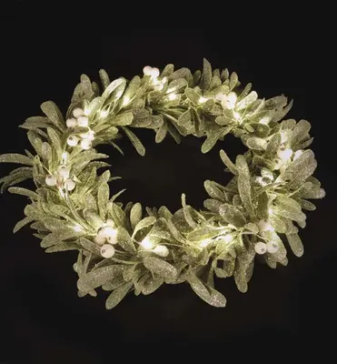 Immagine prodotto di EMOS LED ghirlanda di vischio 35 cm con 25 LED, bianco caldo, timer 6/18 ore, alimentazione 3x AA, lunghezza cavo 25 cm, 10000 h, uso interno, verde/bianco, DCTW28