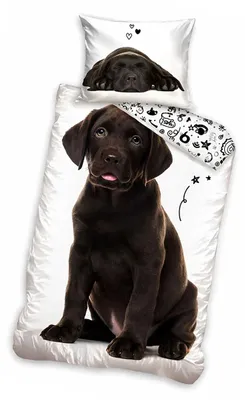 Produktbild von PHU CARBOTEX Baumwollbettwäsche 140x200 Labrador Schwarz