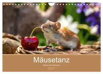 Produktbild von Mäusetanz (Wandkalender 2027 DIN A4 quer), CALVENDO Monatskalender