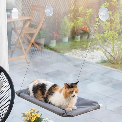 Immagine prodotto di Amaca per gatti Catlax InnovaGoods