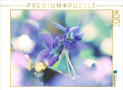 Produktbild von CALVENDO Puzzle Hornveilchen im Garten 2000 Teile Puzzle quer | 2000 Teile Lege-Größe 90x67cm Foto-Puzzle für glückliche Stunden