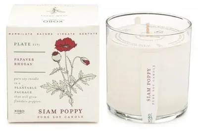 Produktbild von KOBO Duftkerze "Plant the Box Siam Poppy" (10 oz / 283 g)