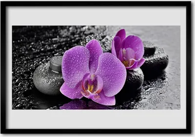 Produktbild von Bild 70x50 MDF-Rahmen Wandkunst Orchideen-Blumen Orchid Spa