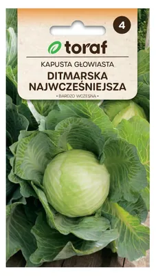 Obrázok produktu pre dITMAR KAPUSTA semeno 2g