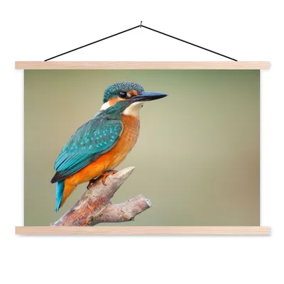 Produktbild von MuchoWow® Textilposter Vogel - Eisvogel - Zweig 60x40 cm mit holzfarbenen Rahmen - Bilder
