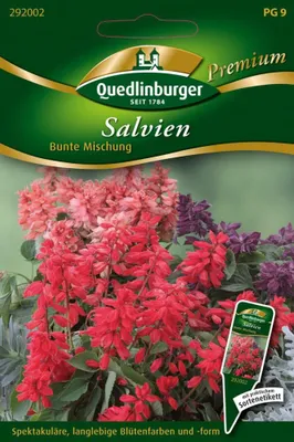 Immagine prodotto di Salvien, un mix colorato