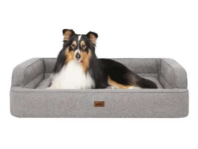Imagen del producto de Cama para perros PARADISE: sofá cómodo para perros con laterales altos y funda desmontable. Dimensiones: 78 x 47 cm. Marca: Doggy