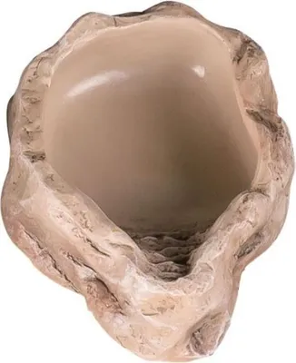 Produktbild von Repti-Zoo Wasserschale S 11x8x3cm Repti-Zoo