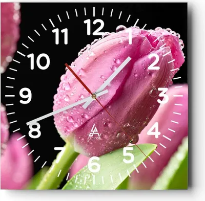 Produktbild von Wanduhr - Quadrat - Glasuhr - Tulpe Blumen Tau - 40x40cm - Schleichendes Uhrwerk - Lautlos - zum Aufhängen bereit - Dekoration Modern - Wanddekoration aus Glas - C4AC40x40-2483