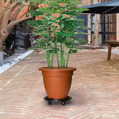 Zdjęcie produktu dla vidaXL Wałek do roślin 3 szt. średnica 30 cm czarny 170 kg