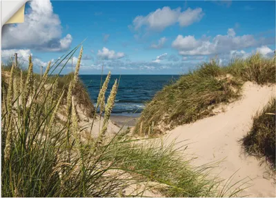 Produktbild von ARTland Wandbild, selbstklebend Strand bei Vesterhav Größe: 70x50 cm