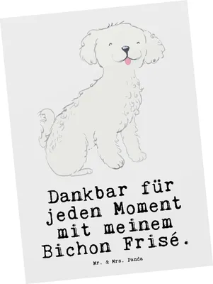 Produktbild von Mr. & Mrs. Panda Fotokarte Bichon Frisé Moment - Weiß - Geschenk, Ansichtskarten, Kunstkarten, Postkarten, Postkarte, bildkarte, Grußkarte