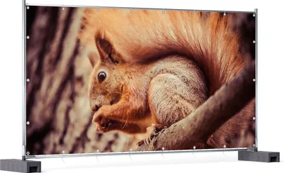 Produktbild von Wallario XXL Outdoor-Poster für Garten oder Balkon, Motiv Niedliches Eichhörnchen auf einem Ast, in ca. 340 x 173 cm