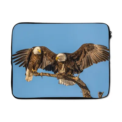 Produktbild von MuchoWow® Laptop Hülle 17 Zoll Laptoptasche Vogel - Äste - Adler - Raubvögel - Luft - Zipper - Schutzabdeckung