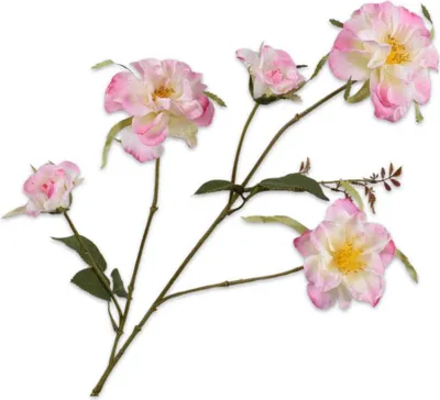 Produktbild von Kunstblume von Silk-ka – Seidenblumen-Rosenzweig, Rosa-Creme, 88 cm