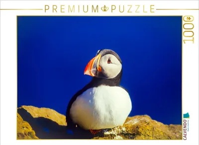 Produktbild von CALVENDO Puzzle Papageitaucher 1000 Teile Puzzle quer | 1000 Teile Lege-Größe 64x48cm Foto-Puzzle für glückliche Stunden