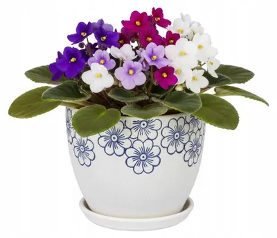 Produktbild von Mattweisser Keramikblumentopf Mit Blumengravur, Durchmesser 14,5 Cm, Höhe 12,5 Cm