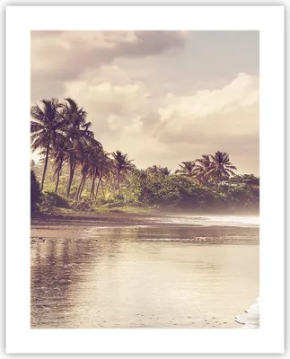 Produktbild von Poster - Poster ohne Rahmen - Palmen Strand Wasser - 40x50 cm - Wand Bild - Wanddeko - Wandbilder - Kunstposter - Wandposter - Bilder - Kunstdruck - Wanddekoration - Wandbild - P2XPA40x50-4917