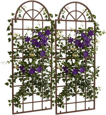 Produktbild von CLP Rankgitter Viva 2er Set aus Eisen mit Rundbogen und Wandhalterung für den Garten | Farbe antik braun, KI-generiertes Bild