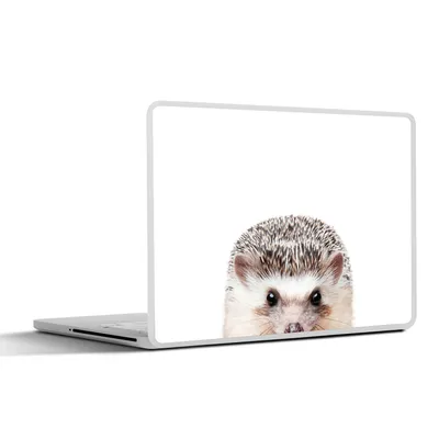 Produktbild von MuchoWow® Laptop Aufkleber Sticker Cover Igel - Tiere - Natur - Weiß 25x18 cm - Laptop-Deko