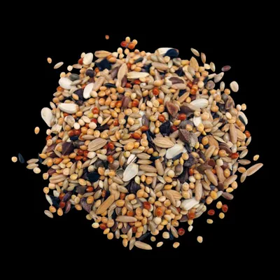 Produktbild von Rudloff Großsittichfutter Alleinfuttermittel fein für Agaporniden und Grassittiche 25 kg