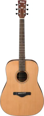 Immagine prodotto di IBANEZ AW65-LG Dreadnought